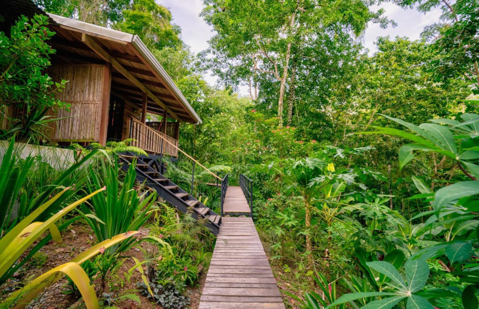 La Shamana - Ecological Concept In Jungle Villa Cahuita Szoba fotó