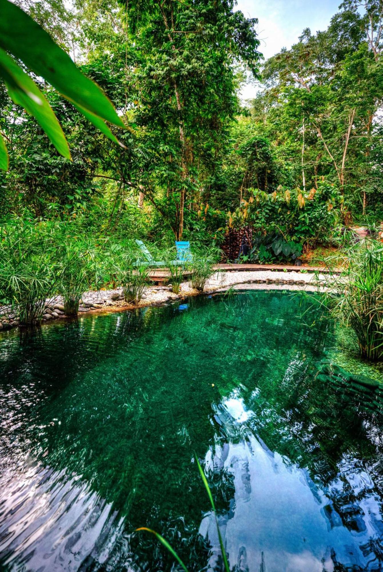 La Shamana - Ecological Concept In Jungle Villa Cahuita Kültér fotó