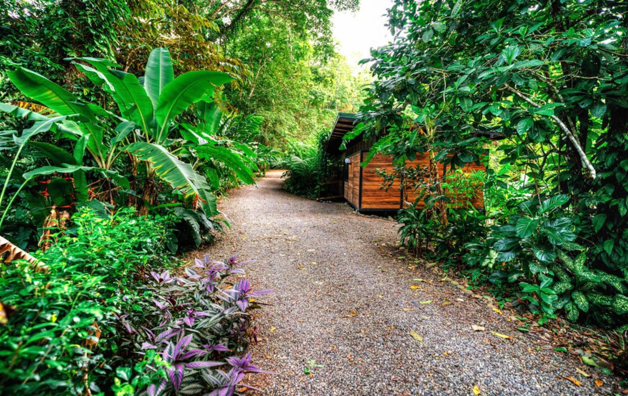 La Shamana - Ecological Concept In Jungle Villa Cahuita Kültér fotó