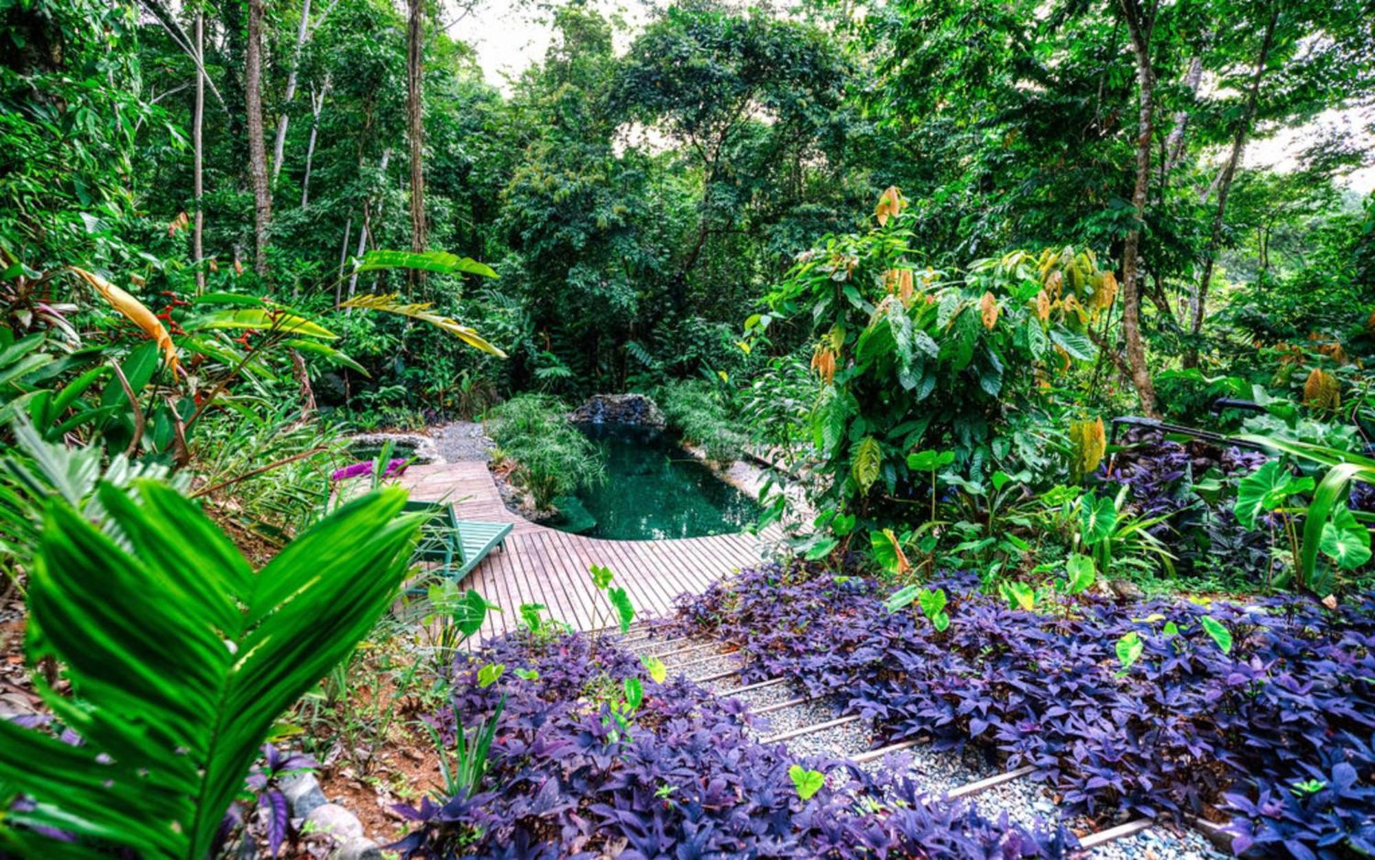 La Shamana - Ecological Concept In Jungle Villa Cahuita Kültér fotó