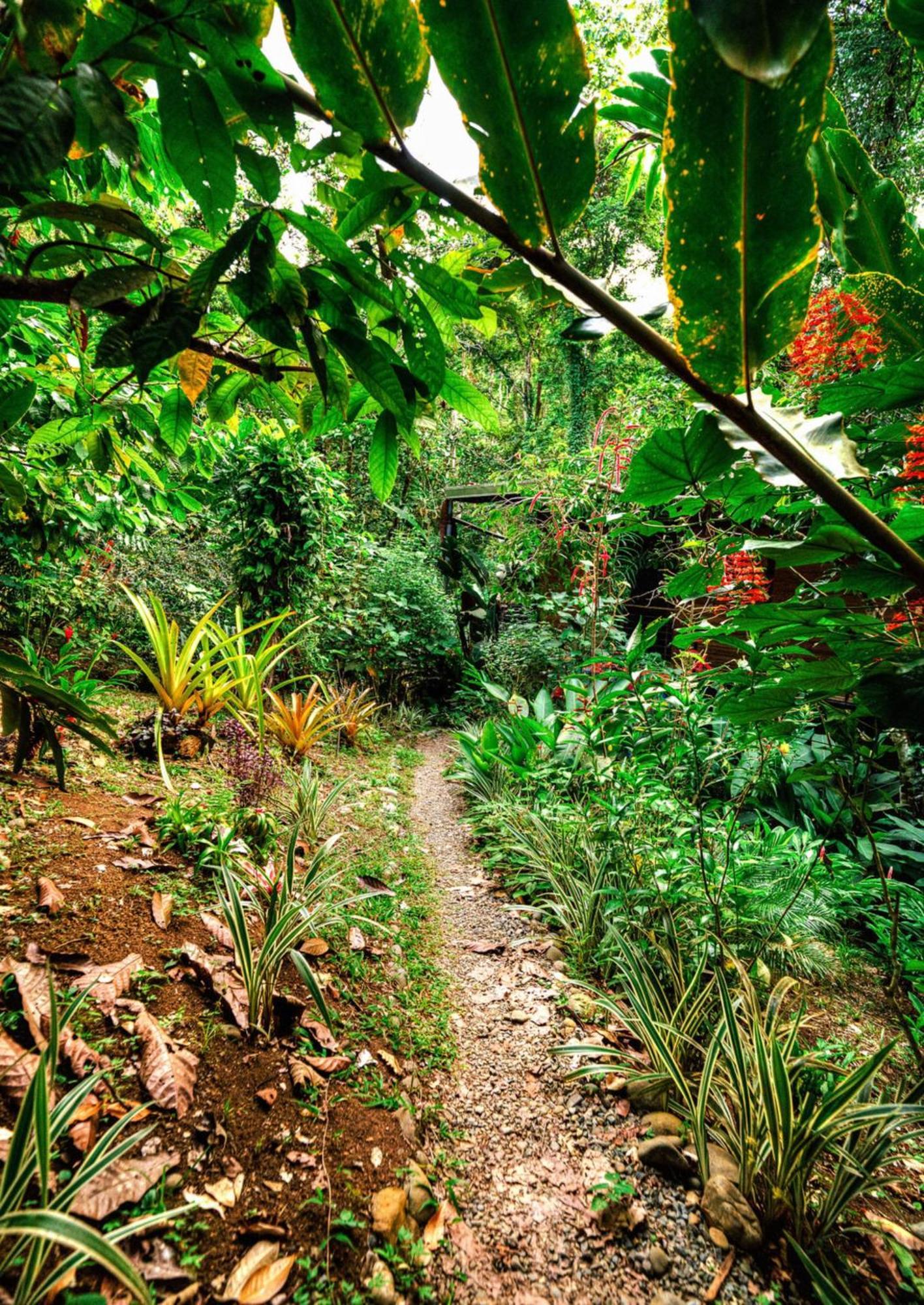 La Shamana - Ecological Concept In Jungle Villa Cahuita Kültér fotó
