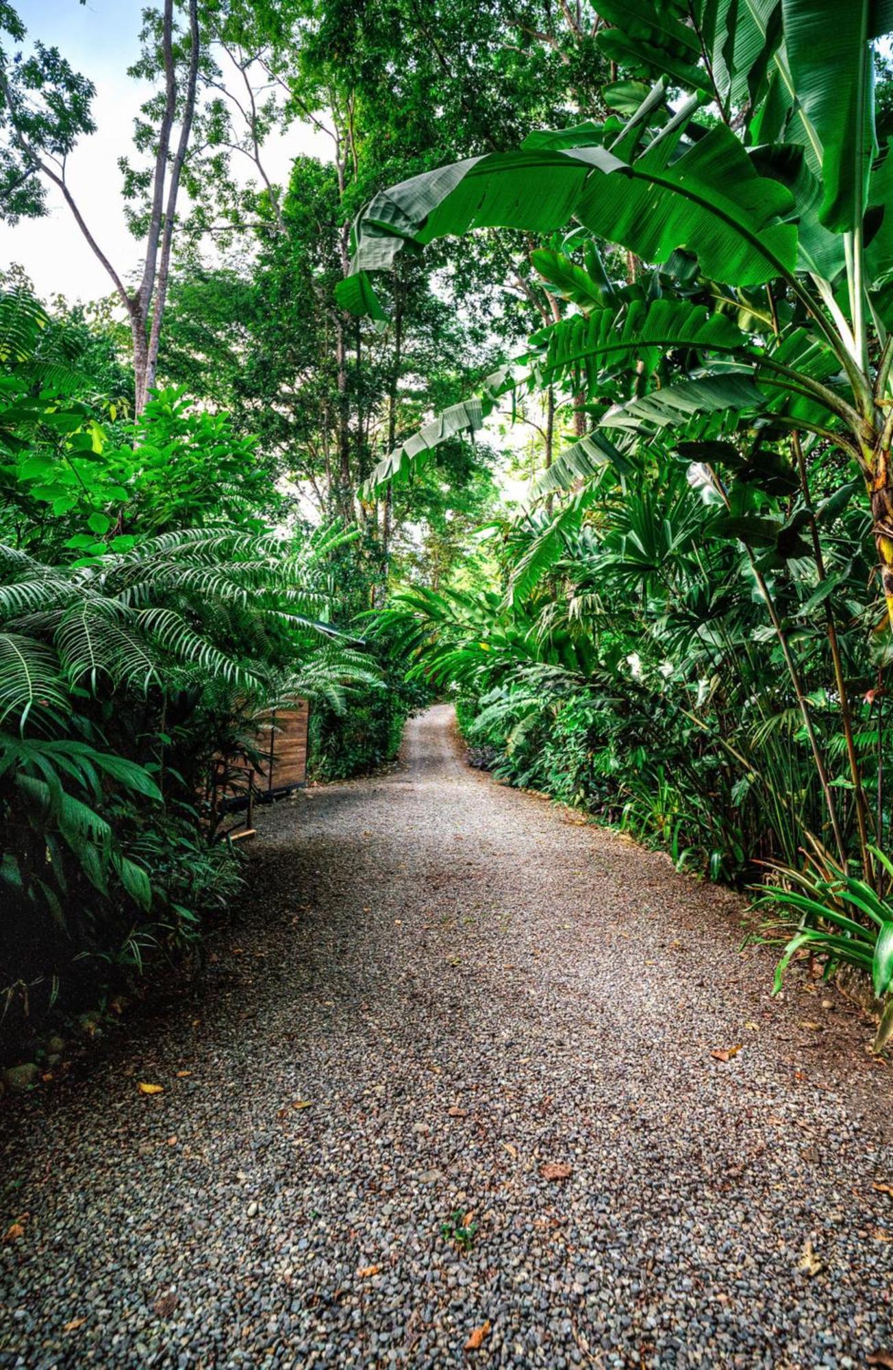 La Shamana - Ecological Concept In Jungle Villa Cahuita Kültér fotó