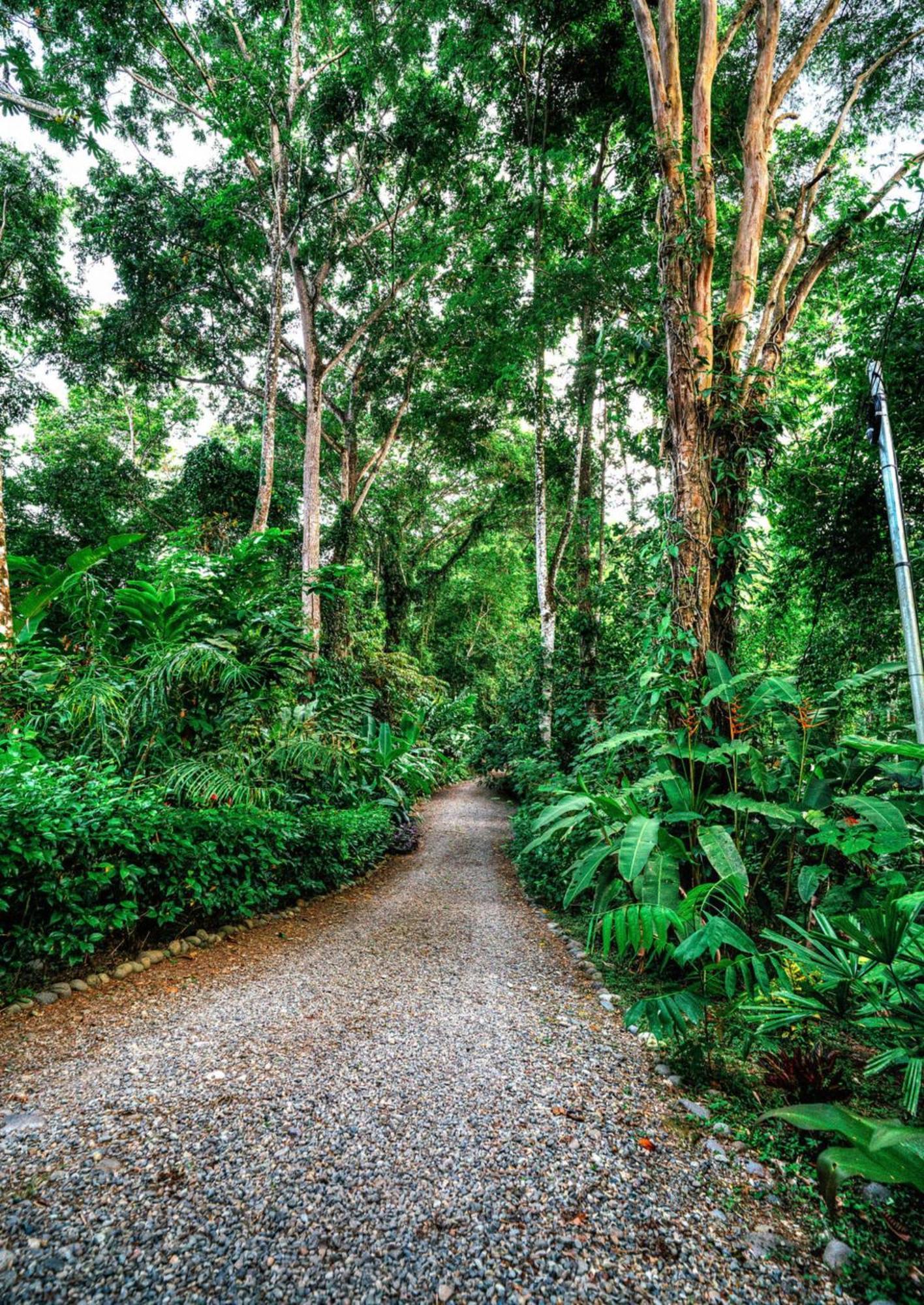 La Shamana - Ecological Concept In Jungle Villa Cahuita Kültér fotó