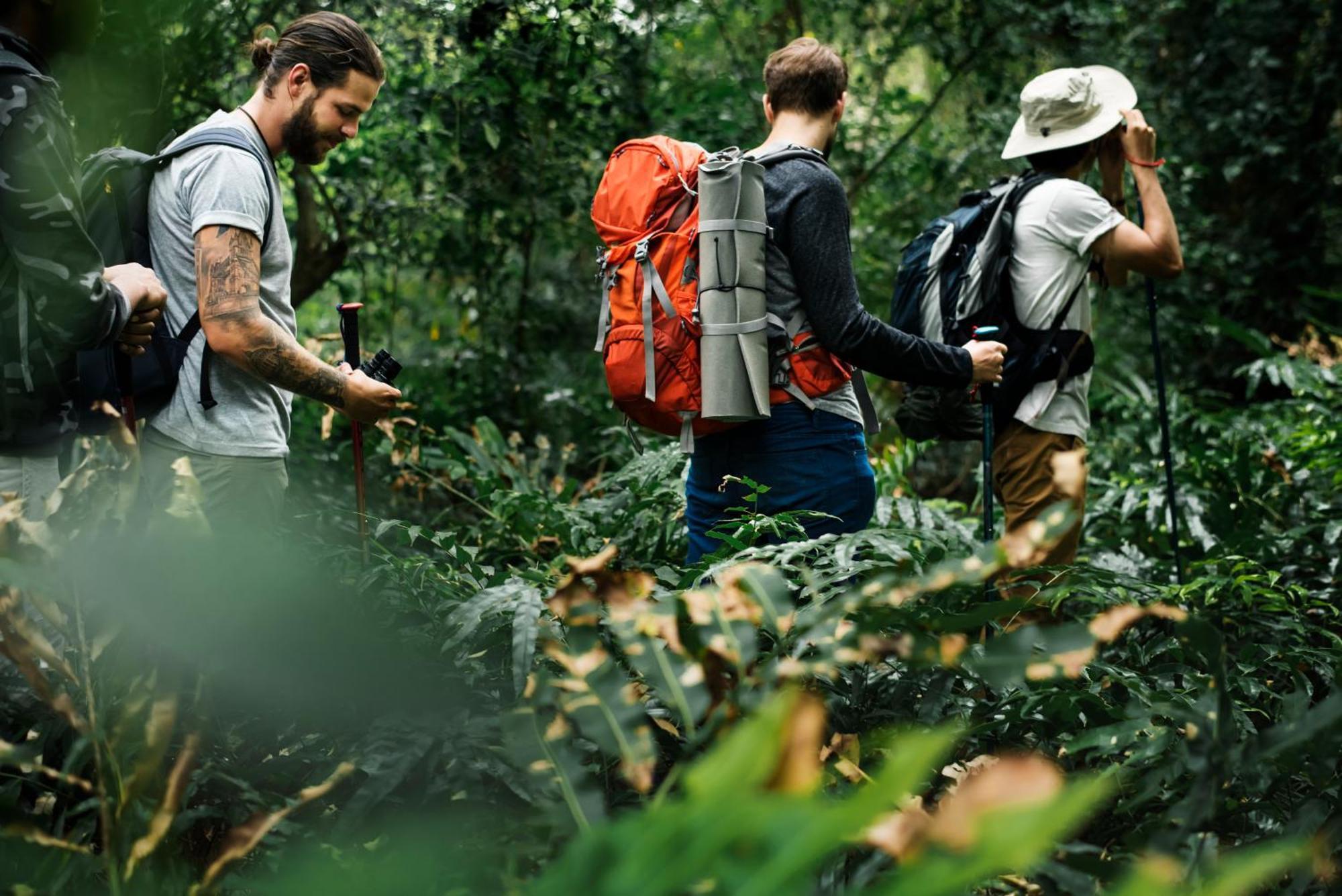 La Shamana - Ecological Concept In Jungle Villa Cahuita Kültér fotó